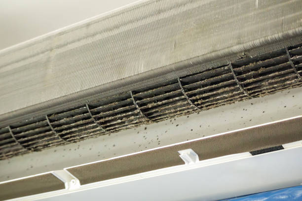 Best Residential Air Duct Cleaning  in Enumclaw, WA